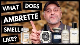 WHAT DOES AMBRETTE SMELL LIKE  WHAT IS AMBRETTE  My Top 5 Favorite Ambrette Fragrances [upl. by Peskoff]