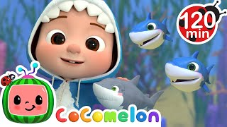 Baby Shark Happy Hide and Seek  CoComelon  Animals for Kids  Sing Along  Learn about Animals [upl. by Gokey]