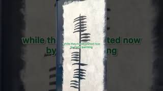 How we recreated Ogham Ireland’s Ancient Written Language to this Ogham Bless This House gift [upl. by Marieann]