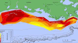 Ocean Deoxygenation TED Talk By Solomon Negussie [upl. by Hibbert]