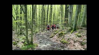 Trail del piccolo Olmo  Capanno Tassoni 2024 [upl. by Newsom]