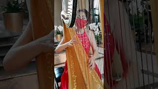 “Chiquitita”  ABBA Harp cover by TongJuan Wang [upl. by Enaywd]