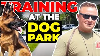 REACTIVE German Shepherd visits DOG PARK [upl. by Coryden]