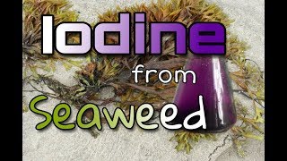 Iodine From Seaweed [upl. by Verity]