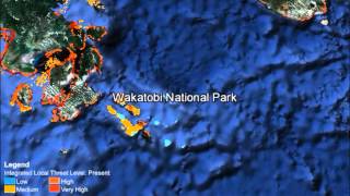 Google Earth Tour of Reefs at Risk Full Length [upl. by Sisile]