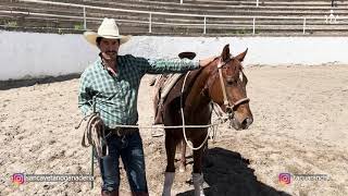 Capítulo 4  Jinetes y Caballos de Ganadería San Cayetano  Parte 2 Rubén González de Tacua Ranch [upl. by Vincents]