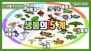 중1 과학 3 생물의 다양성  생물의 5계 [upl. by Kikelia]