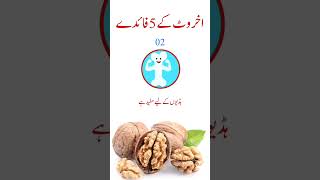 Walnut benefits  Akhrot kay fayde in urdu  AureusHealthCare [upl. by Madora]