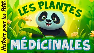 Penelope le Panda🐼Conte pour enfant en français Histoire pour sendormir plantes remède Médecine [upl. by Yknip328]