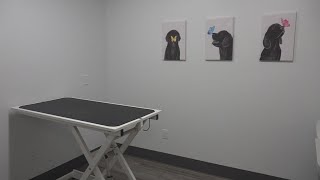 New pet urgent care opens in Tonawanda [upl. by Colpin33]