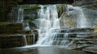 Lucifer Falls Robert H Treman NY State Park 10012024 [upl. by Eisiam]