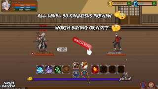 Ninja Kaizen  All Level 30 Kinjutsus Preview Worth Buying Or Not  2024 [upl. by Oiznun]