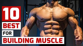 Top Trainers Agree These Are the 10 Best MuscleBuilding Exercises [upl. by Lorin]