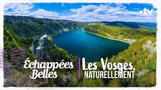 Les Vosges naturellement  Échappées belles [upl. by Peadar750]