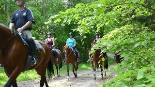 Reiturlaub in MecklenburgVorpommern [upl. by Yrennalf476]