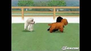 Nintendogs Lab amp Friends Nintendo DS Gameplay  The [upl. by Alvina]