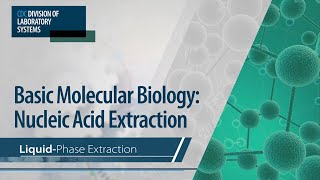 Basic Molecular Biology Nucleic Acid Extraction – Liquid Phase Extraction [upl. by Annamaria]