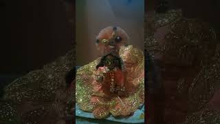 Ghanshyam Teri Bansi pagal kar jaati HaiKrishna statusladdu GopalVrindavan [upl. by Meikah219]