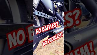 HARLEY SOUND harleydavidson shorts motorcycle automobile fall forest hd sound music asmr [upl. by Phare307]