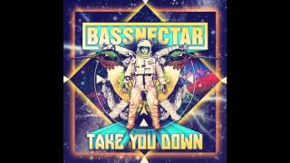 Bassnectar  Colorstorm [upl. by Aicirtam]