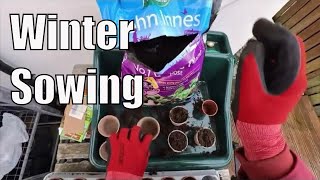 Winter Sowing  January Seeds  Allotment for Beginners [upl. by Acireit]