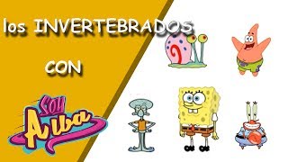 Los animales INVERTEBRADOS para niños primaria con Bob Esponja [upl. by Ahsinut]