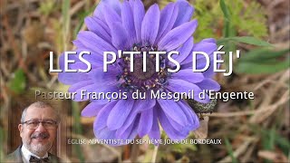 1187  Les Ptits déj spirituels  Veillez avec soin sur votre conduite  Ephésiens 515 [upl. by Annalla898]