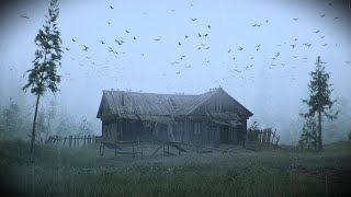 Rainy Retreat  Soothing Storm Ambience with Howling Winds amp Gentle Rain [upl. by Ecinehs]