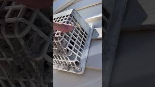 CLEAN YOUR DRYER VENT almetaldryervent satisfying fyp asmr dryerventcleaning [upl. by Llerod]