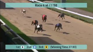 Kinsley Greyhound Races on 3rd May 2023 [upl. by Alyakem]