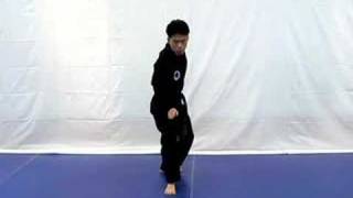 Hapkido Knife Defense Stance [upl. by Hendrik692]