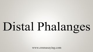 How To Say Distal Phalanges [upl. by Ylla500]