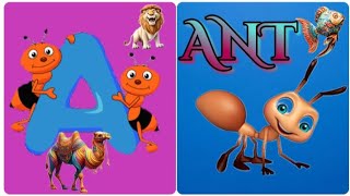 Learn ABC  Kids Learning  ABC Song  Alphabets songs  ABC Kids Learning Abckidslea [upl. by Antoinette269]