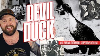 When Marines Took A Duck Into Battle In WW2  The Devil Duck [upl. by Enyrhtak]