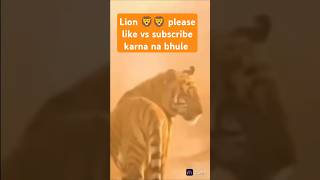 Lion 🦁🦁 camera man jaldi phokas Karo short video viral please like vs subscribe karna na bhule grant [upl. by Dynah432]