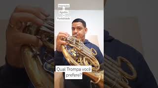 Qual Trompa você preferemusic trompa frenchhorn [upl. by Morten]