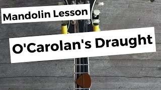 OCarolans Draught Mandolin Lesson [upl. by Ggerg533]