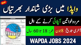 Wapda jobs 2024 online apply  Jobs in pakistan 2024  latest government jobs 2024 [upl. by Peper]