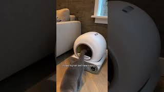 ZEDAR K900  Automatische Kattenbak katten kattenbak automatischekattenbak Zedark900 [upl. by Eskil]