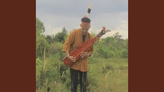 Dayak Dance Music Sape Dayak [upl. by Nnarual688]