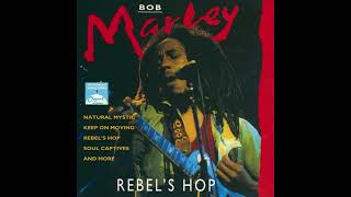 Mellow Mood  Bob Marley [upl. by Moishe50]