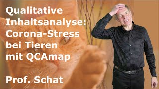 Qualitative Inhaltsanalyse Corona Stress bei Tieren [upl. by Yrekaz208]