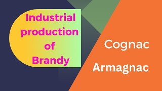 Industrial production of BrandyDistilled Alcoholic beveragesCognac productionArmagnac production [upl. by Isle]