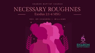 Empowering Future Generations Necessary Roughness  Mothers Day Sermon [upl. by Suicul]