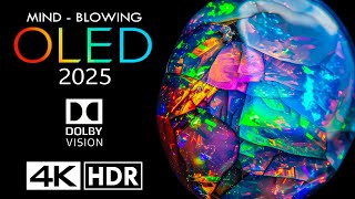 MINDBLOWING 2025 OLED 😮 4K 60fps HDR Dolby Vision  4K Video [upl. by Lorenz]