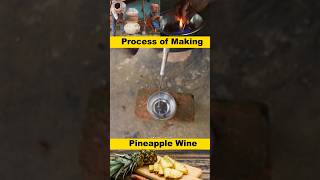 Process of making pineapple wine in desi style wine winelover winetasting pineapple [upl. by Fauman]