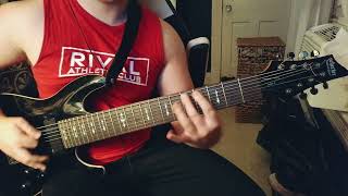 Vulvodynia  Praenuntius Descends Guitar Cover [upl. by Lacsap]