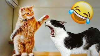 ❤️ You Laugh You Lose ❤️😂 Funniest Animals 2024 😅 [upl. by Anyat940]