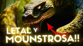 La SERPIENTE más GRANDE y PELIGROSA del MUNDO  TITANOBOA El TERROR de la PREHISTORIA [upl. by Reinaldo]