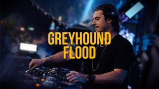 Greyhound x Flood Axwell Mashup [upl. by Catherin]